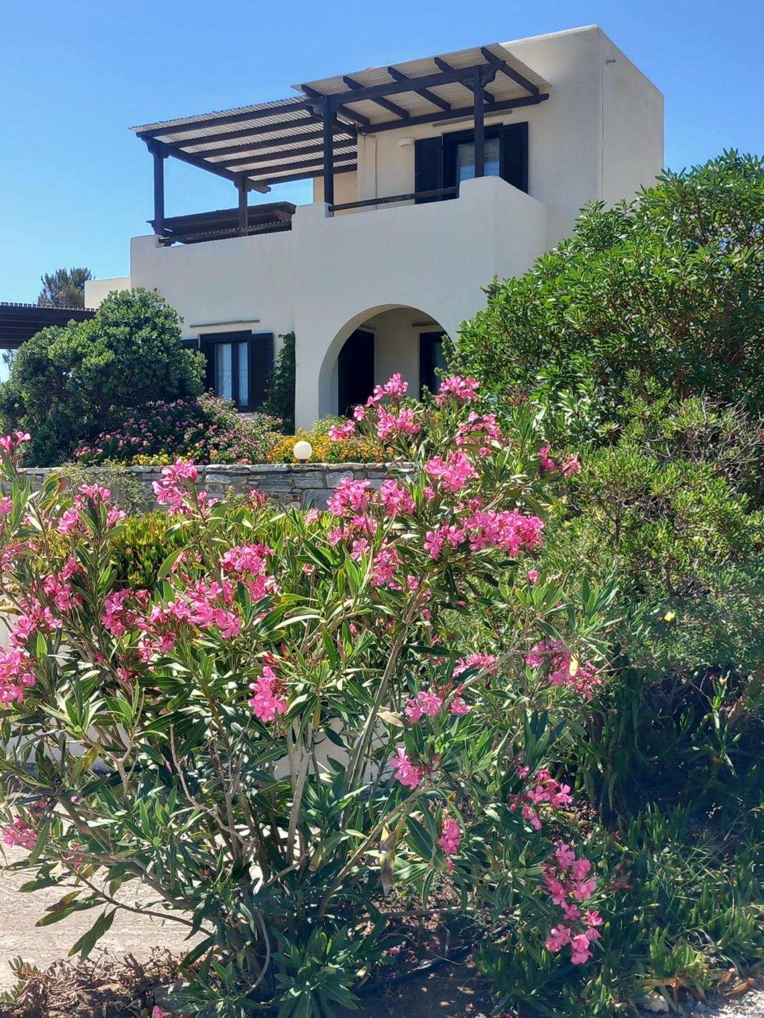 Kedros Villas Agios Prokopios  Exterior foto