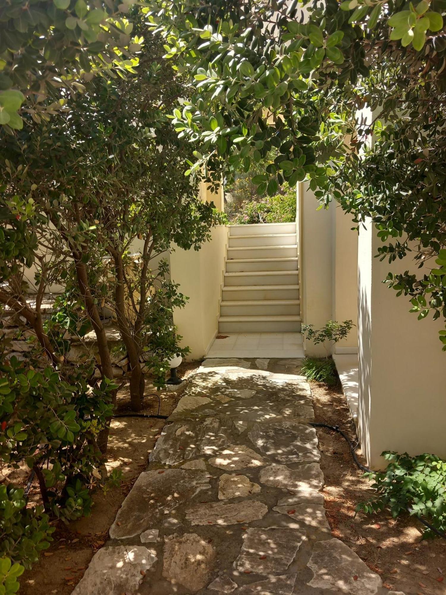 Kedros Villas Agios Prokopios  Exterior foto