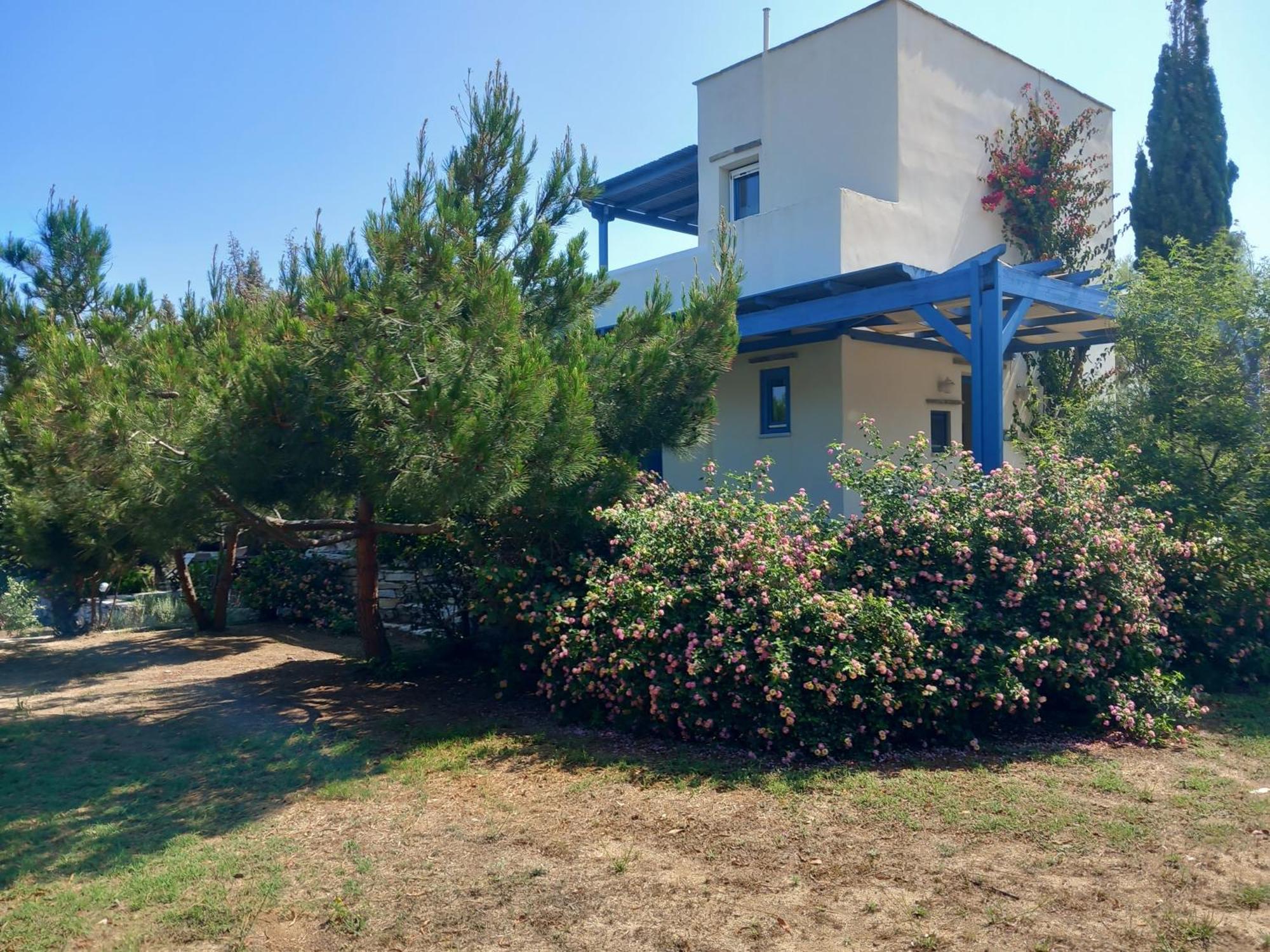 Kedros Villas Agios Prokopios  Exterior foto
