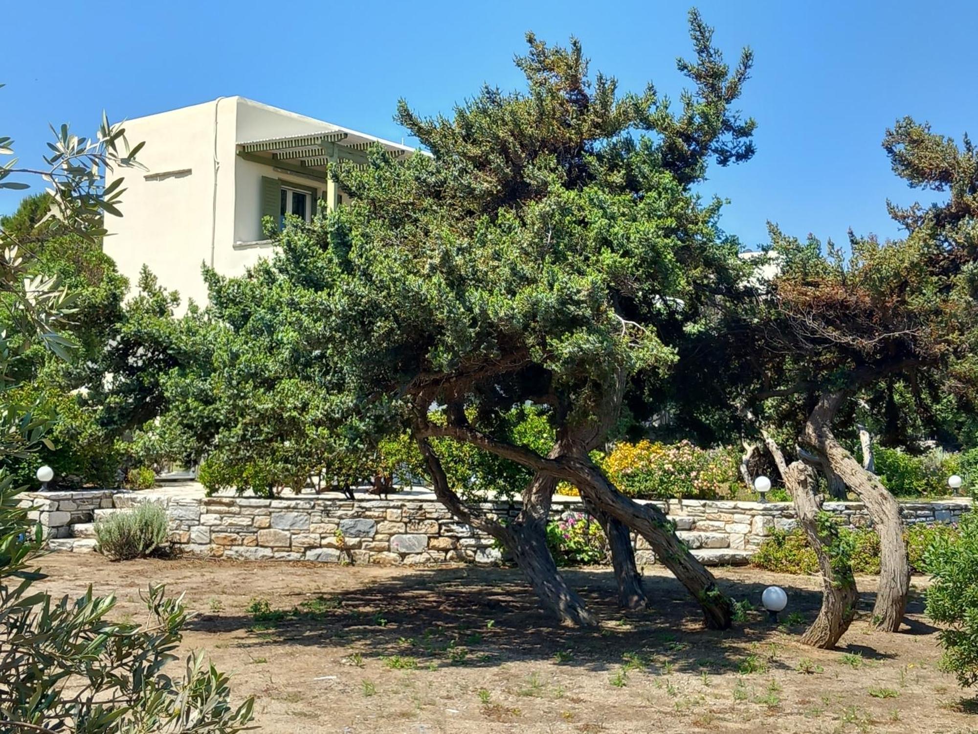 Kedros Villas Agios Prokopios  Exterior foto